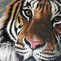 Tigger