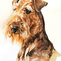 Airedale Portrait in Watercolor